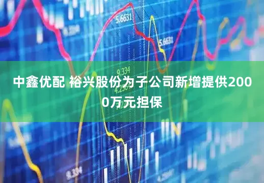 中鑫优配 裕兴股份为子公司新增提供2000万元担保