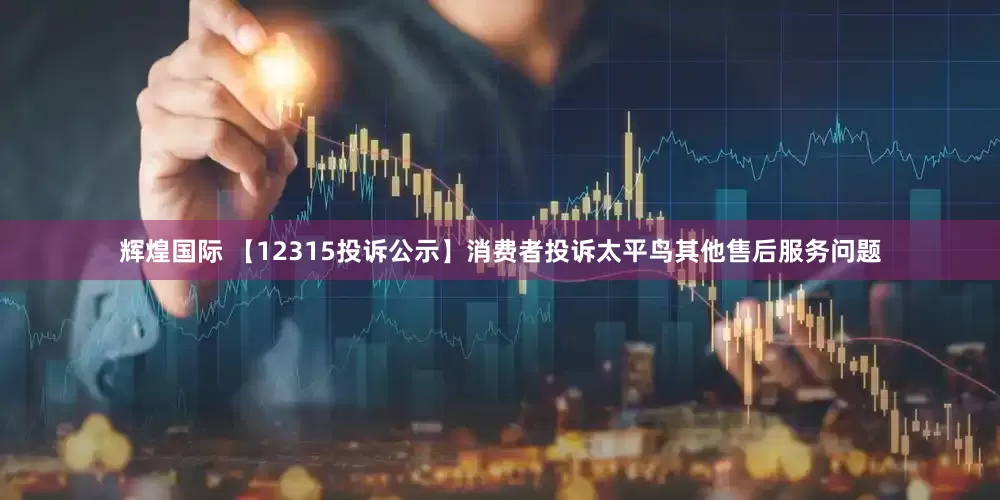 辉煌国际 【12315投诉公示】消费者投诉太平鸟其他售后服务问题