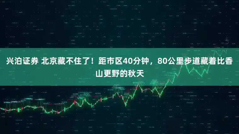 兴泊证券 北京藏不住了！距市区40分钟，80公里步道藏着比香山更野的秋天